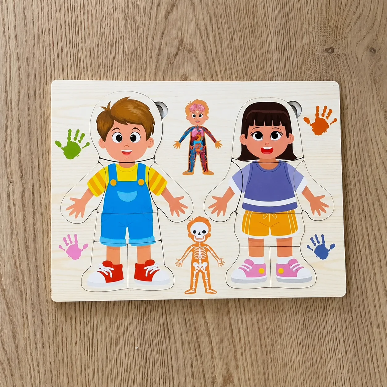Puzzle éducatif en bois - Corps humain & Habillage