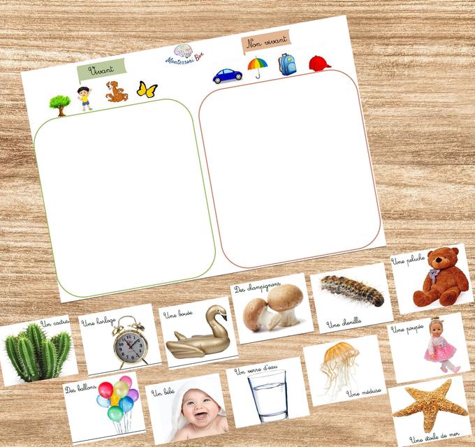 Box Montessori de logique 3-6 ans 