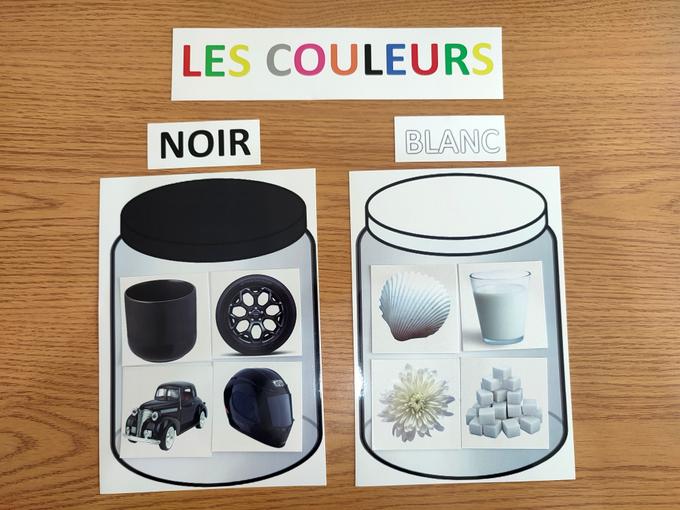 Activité de tri et d'association des couleurs - Français