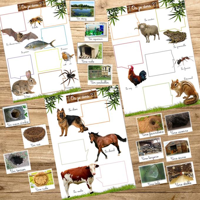 Box Montessori des animaux 3-6 ans 