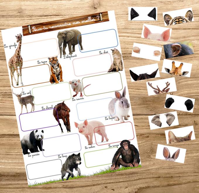 Box Montessori des animaux 3-6 ans 