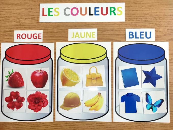Activité de tri et d'association des couleurs - Français