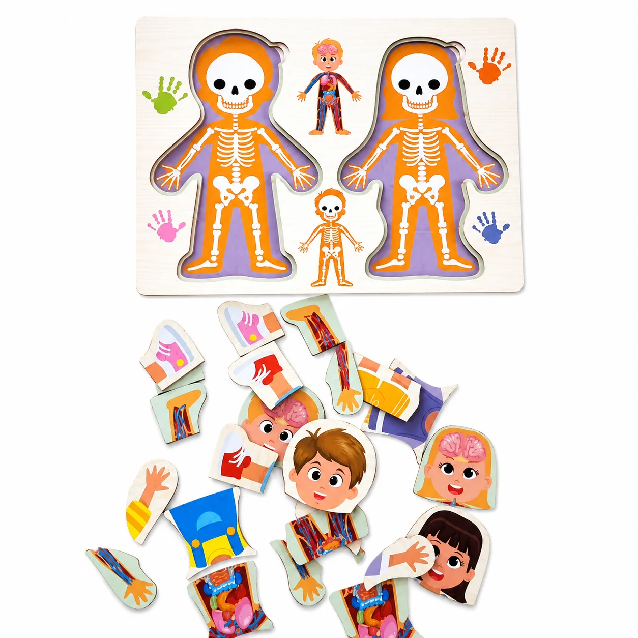 Pack 4 Jeux Montessori en Bois - Motricité, Logique & Découverte
