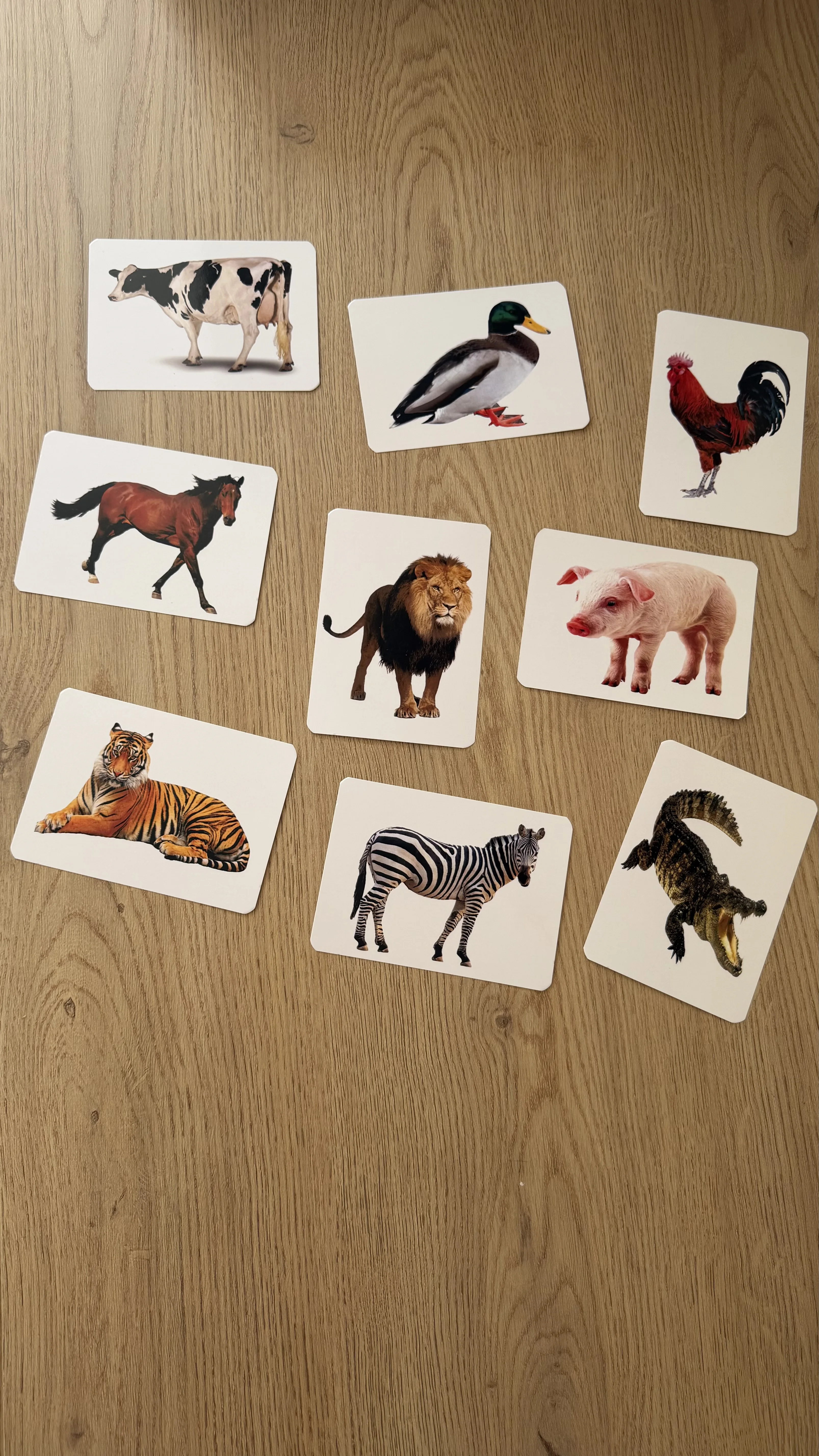 Box Mon imagier Montessori