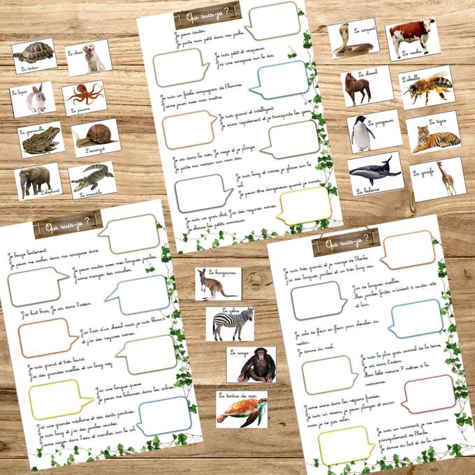 Box Montessori des animaux 3-6 ans 