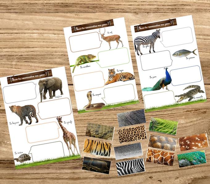 Box Montessori des animaux 3-6 ans 