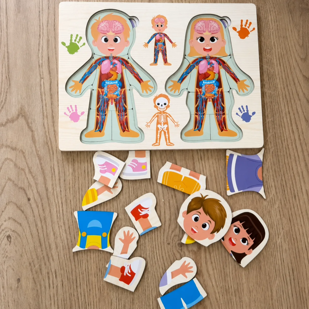 Puzzle éducatif en bois - Corps humain & Habillage