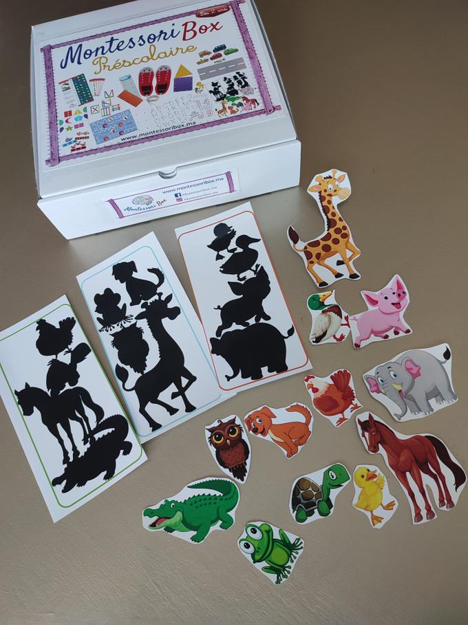 Box Montessori Préscolaire 2-4 ans 