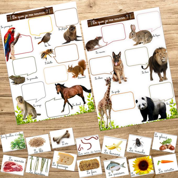 Box Montessori des animaux 3-6 ans 