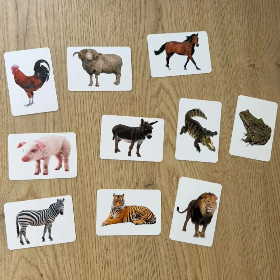 Box Mon imagier Montessori