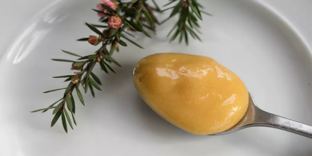 عسل مانوكا الاسترالي 500 MGO