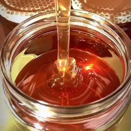 السدر اليمني العصيمي