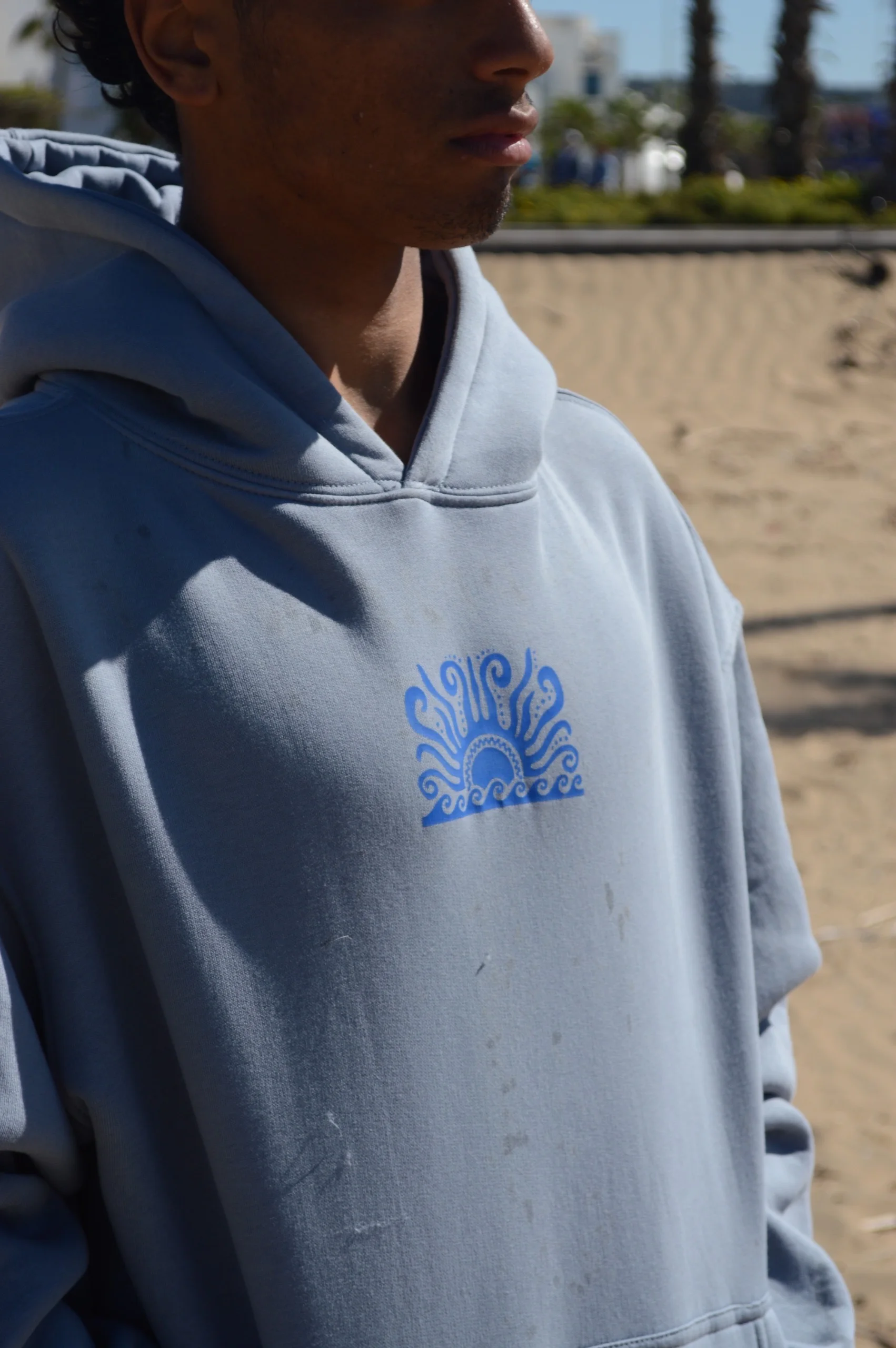 Hoodie requin
