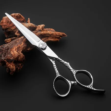 Ciseaux de coiffeur en acier inoxydable