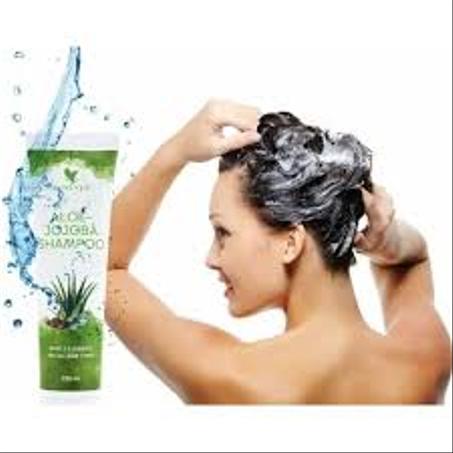 Aloe Jojoba Shampoo