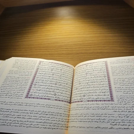 التفسير الميسر