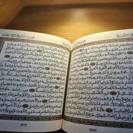 المصحف المحمدي المجلد