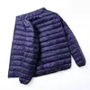 Navy Blue Stand