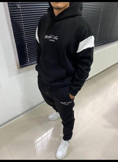 Ensemble model Limted edition