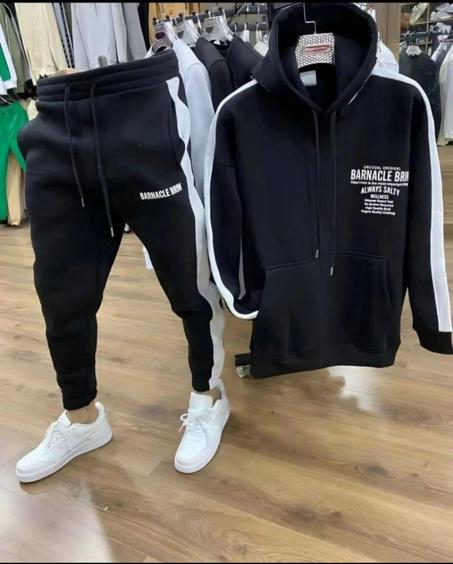 Ensemble Model Barnacle