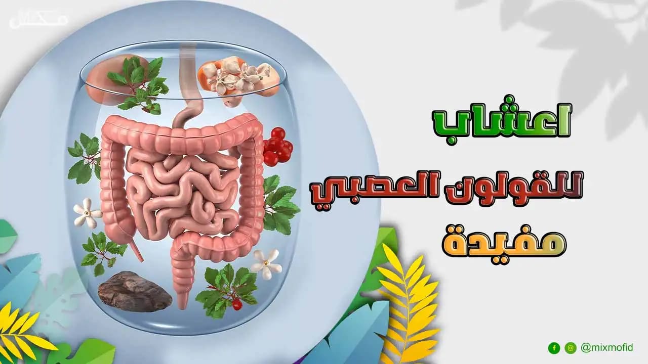 علاج القولون العصبي