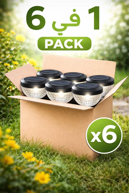 👉 باك الحديقة المضيئة ✨ (6 مصابيح شمسية بدون كهرباء)