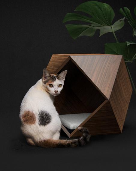 CHAT EN MOBILIER MODERNE