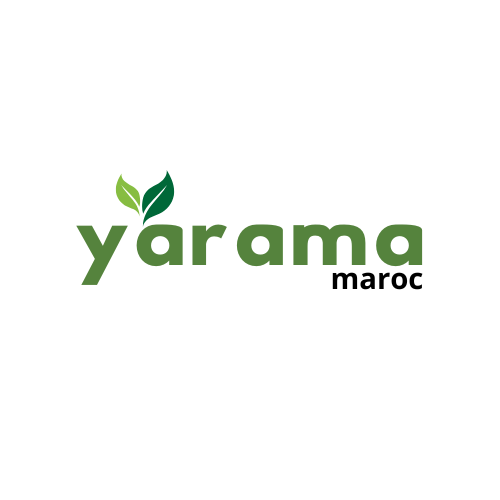 Yarama