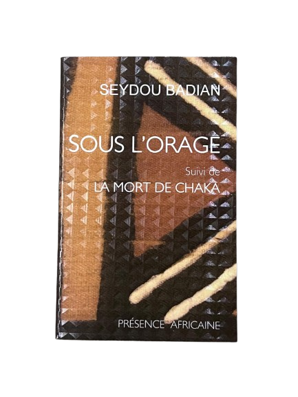 Sous l’orage – Seydou Badian