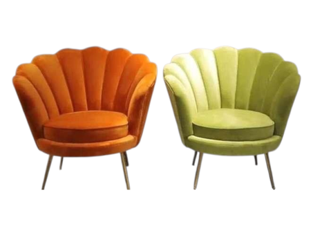 كراسي الصدفة المخملية: لمسة من الأناقة والجمال