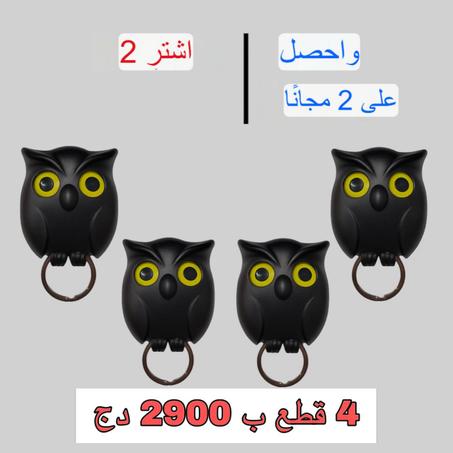 علاقة المفاتيح المغناطيسية