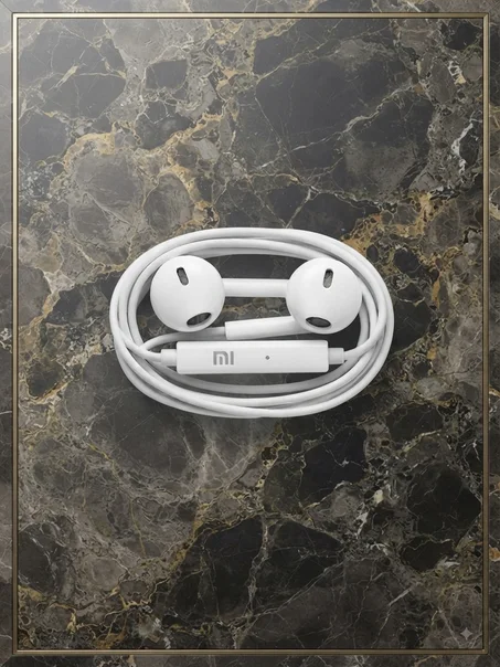 Xiaomi Wired Earphones