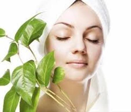 الصحة والتجميل