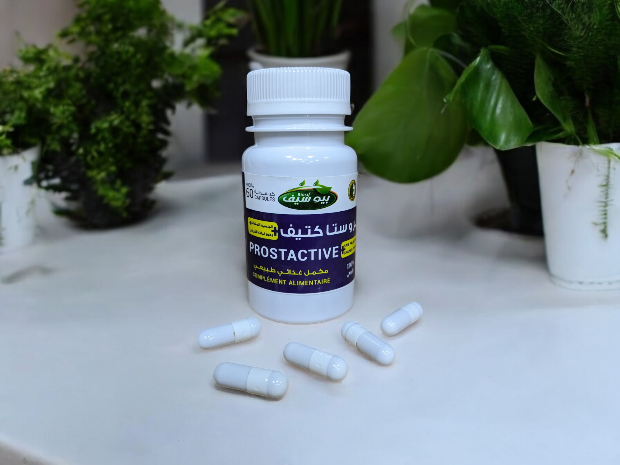 PROSTACTIVE بروستاكتيف