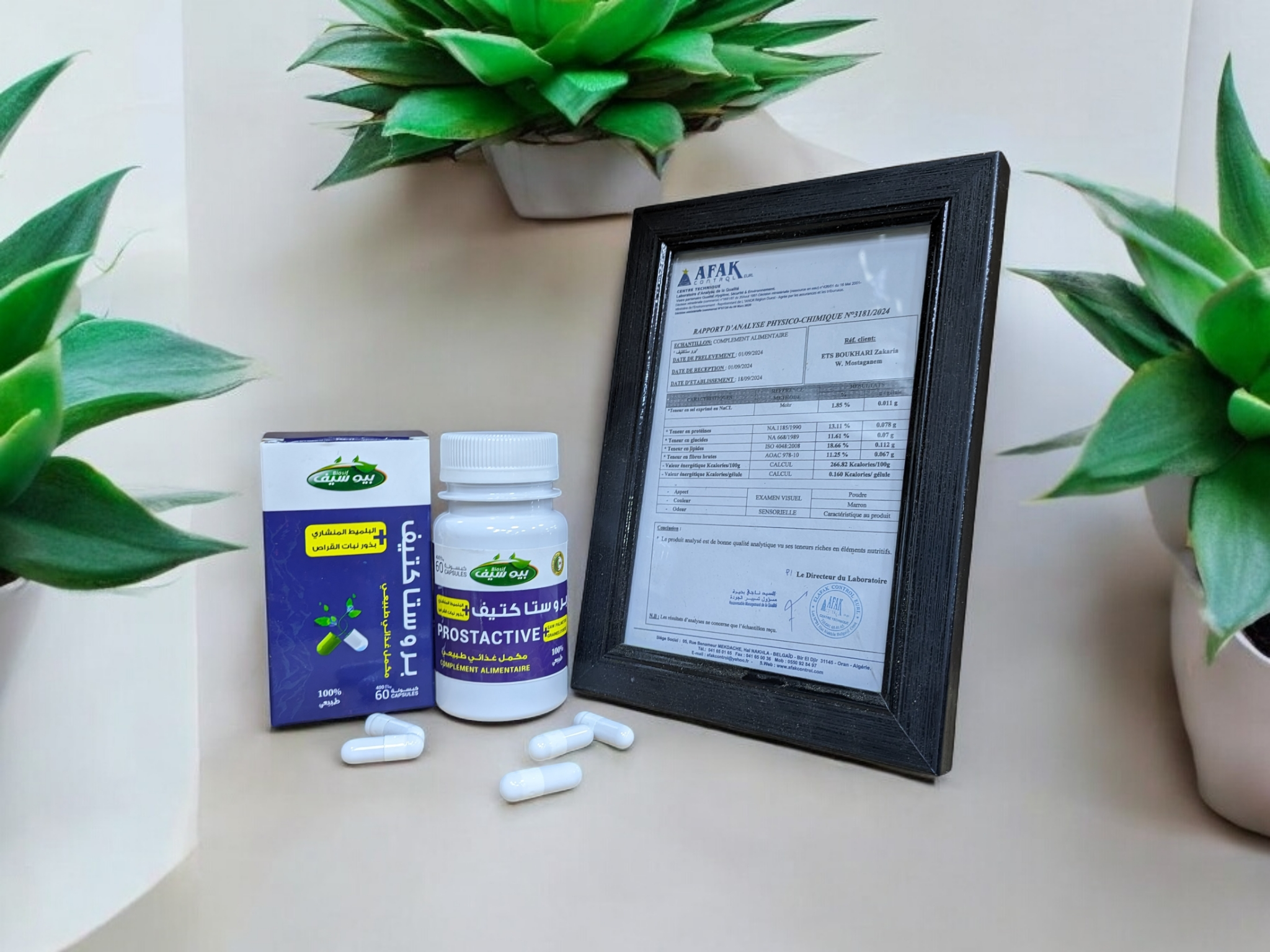 PROSTACTIVE بروستاكتيف
