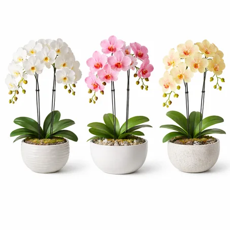 Orchidées Artificielles