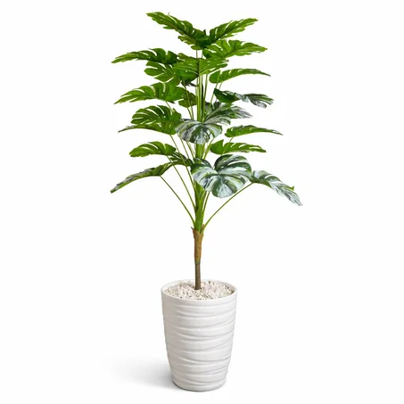 Philodendron – Modèle 18F-L | Hauteur : 1,6 m (complet)