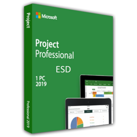 Ms Projeect 2019 Professional