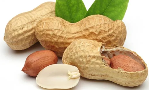 صندوق تخزين الحبوب على الحائط في المطبخ