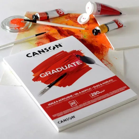 Bloc Canson Graduate A4 Huile&Acrylique 20F 290g
