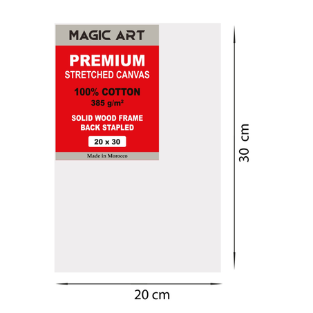 Toile Magic Art Premium 20x30