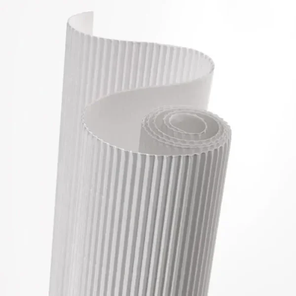 Carton ondulé Canson 0.5 x 0.7 300gr Blanc
