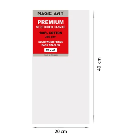 Toile Magic Art Premium 20x40