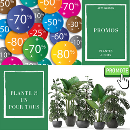Promotions (plantes & pots)