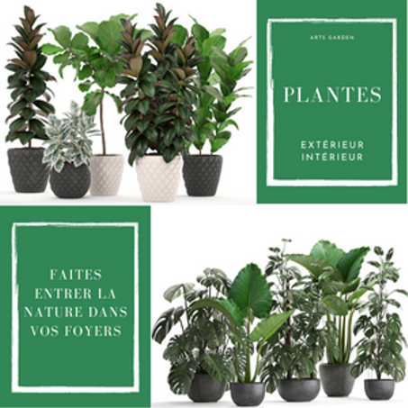 Plantes