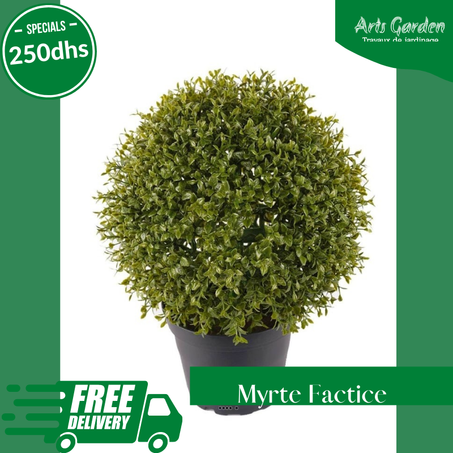 MYRTE FACTICE