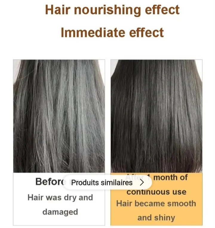 شامبو ساكورا