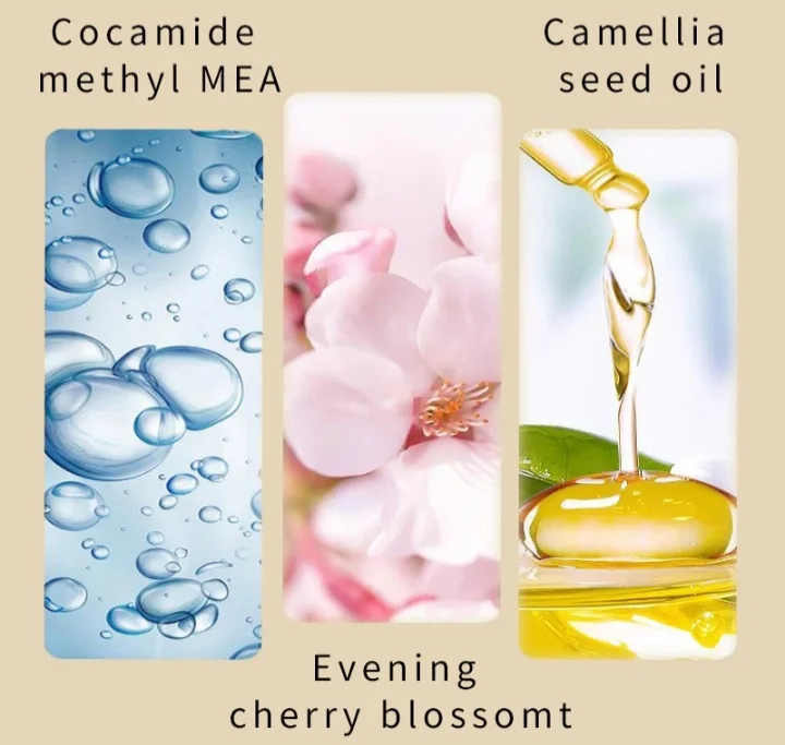 شامبو ساكورا