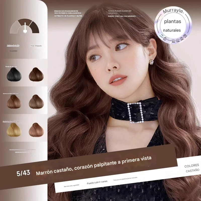 Portable safe hair dye comb