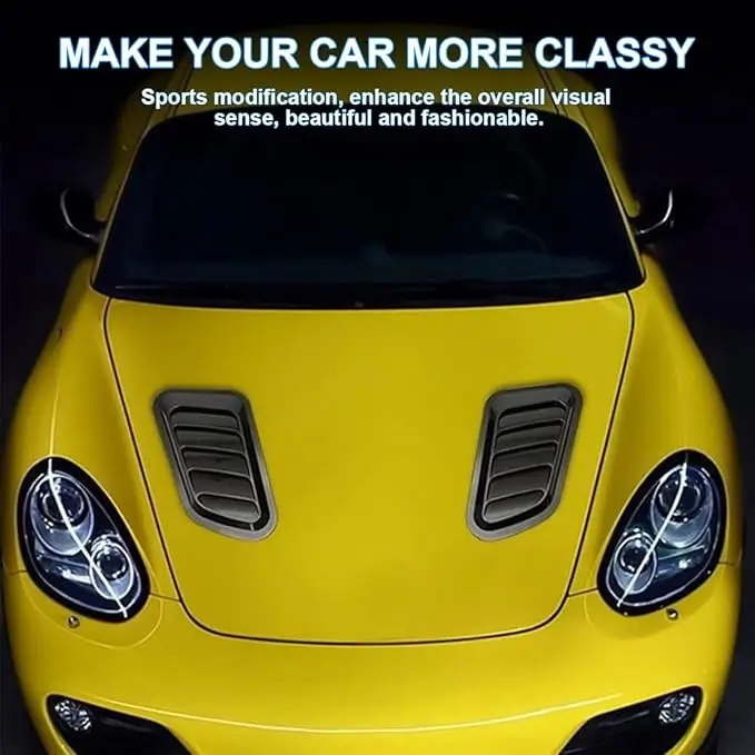 Pack 2 flux d'air,  de style de voiture en ABS - CI (D.S)